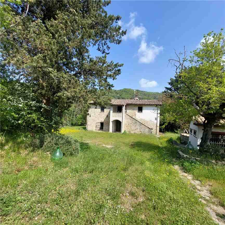 For sale Rural/farmhouse Montone  #519 n.18