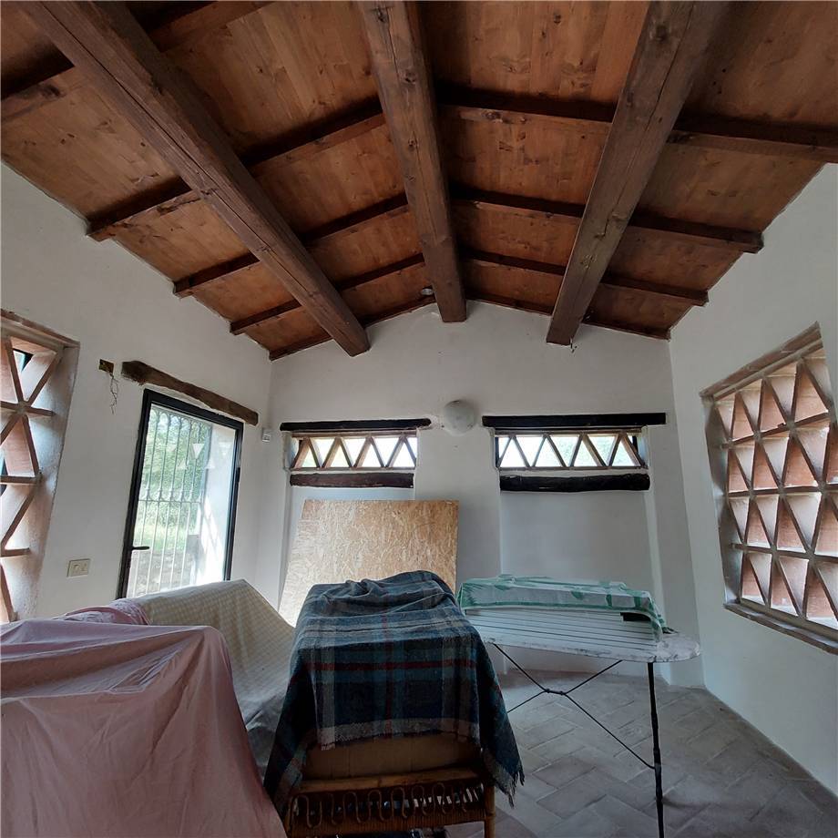 For sale Rural/farmhouse Montone  #519 n.19