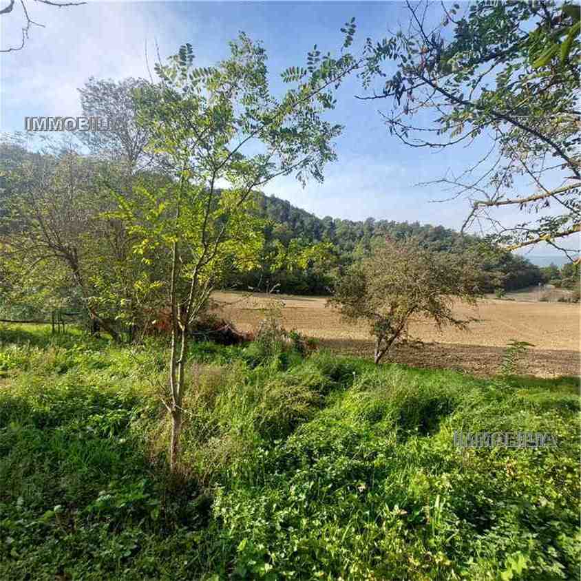 For sale Rural/farmhouse Citerna  #535 n.9