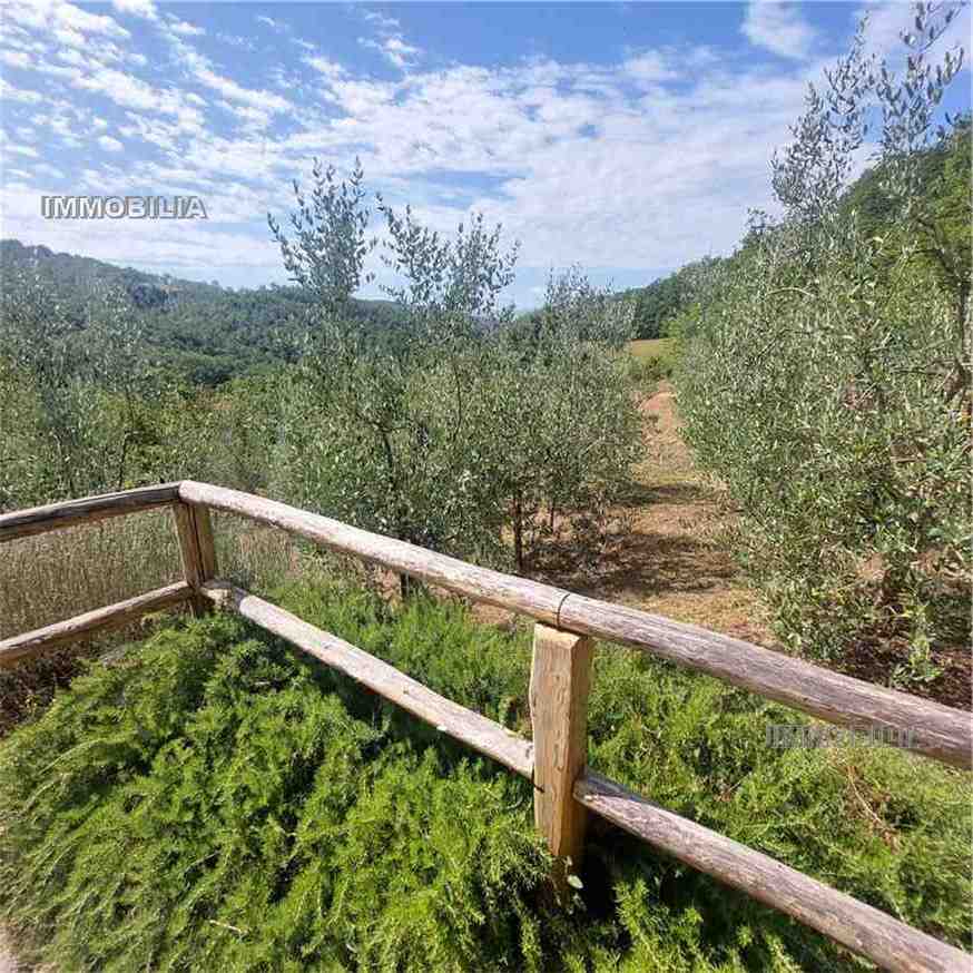 Vendita Rustico/Casale Pieve Santo Stefano  #547 n.26
