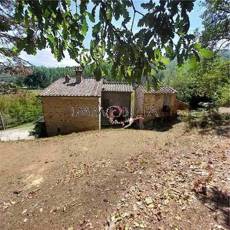 Vendita Rustico/Casale Monterchi  #552 n.18