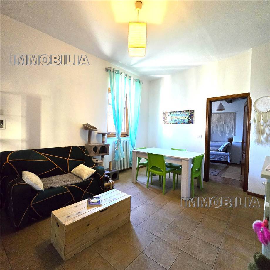 For sale Semi-detached house Sansepolcro  #592 n.15