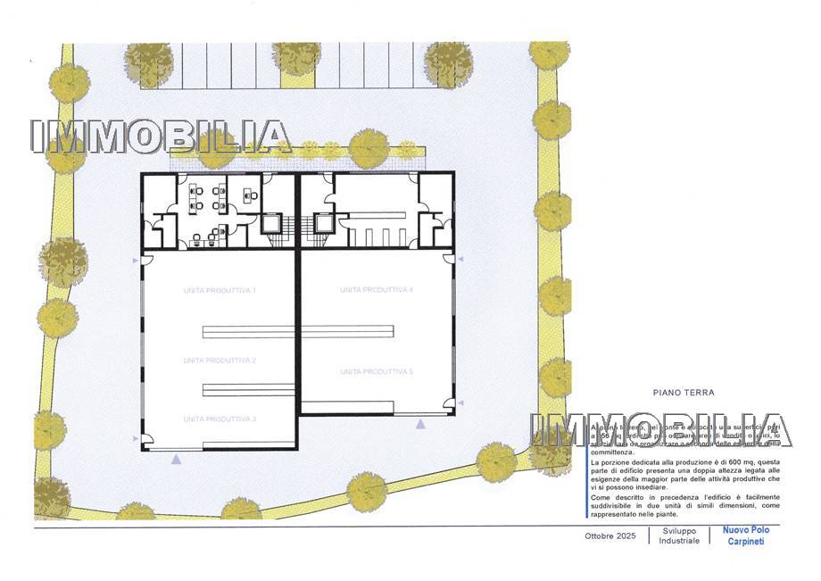 Vendita Terreno industriale Citerna  #595 n.6