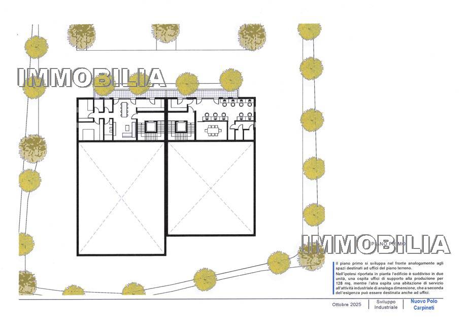 Vendita Terreno industriale Citerna  #595 n.7