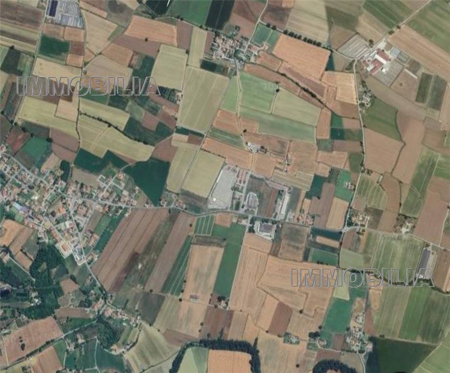 Vendita Terreno industriale Citerna  #595 n.9