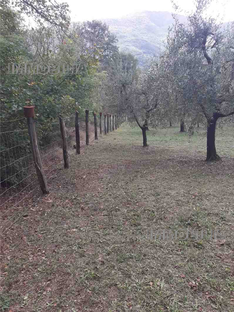 Vendita Terreno agricolo Monterchi  #604 n.6