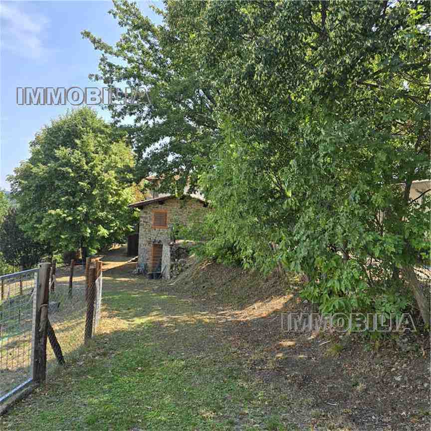 For sale Country house Caprese Michelangelo  #606 n.33