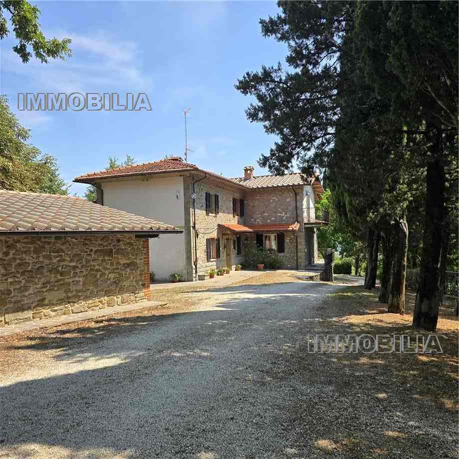 For sale Country house Caprese Michelangelo  #606 n.35