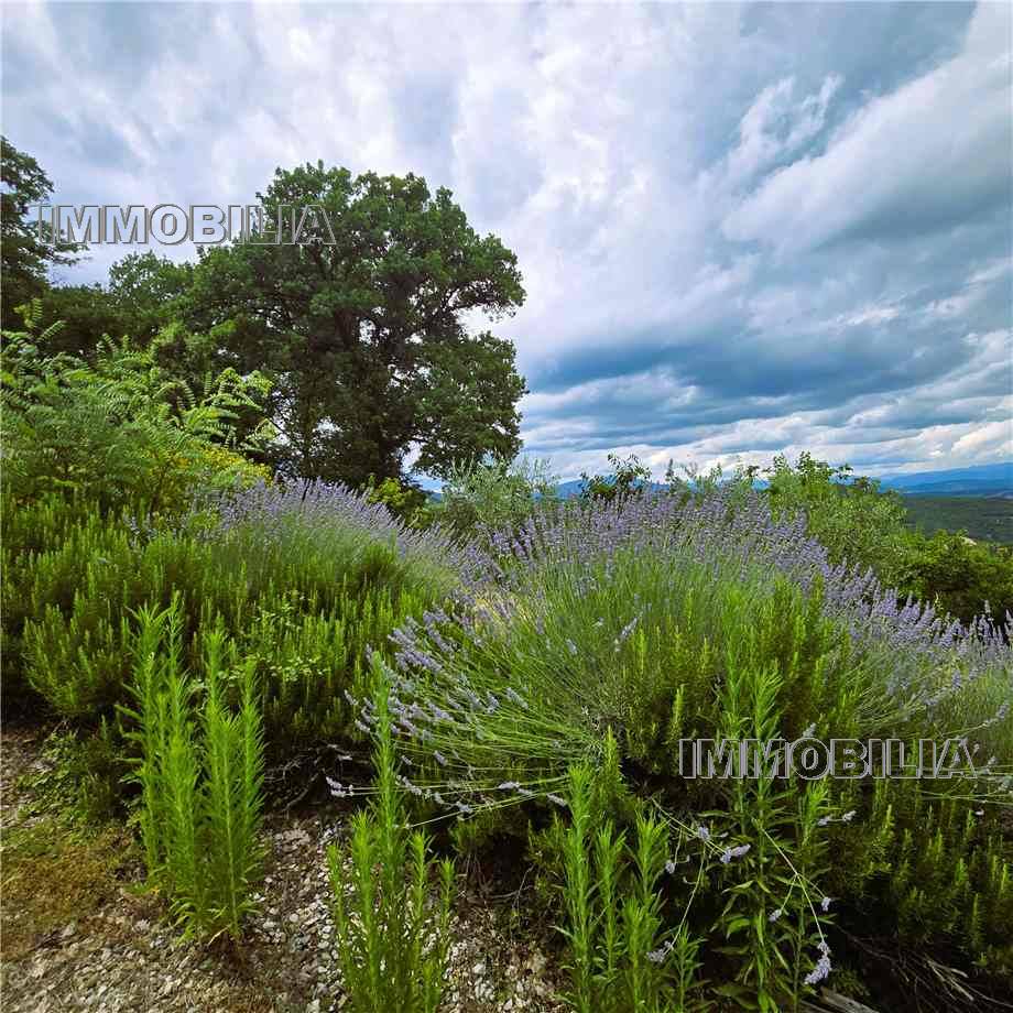 For sale Casale/Cascina/Casa colonica Monterchi  #610 n.37