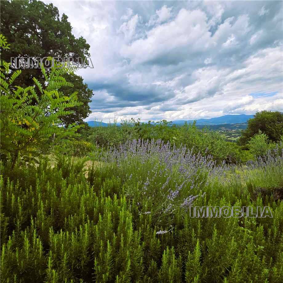 For sale Casale/Cascina/Casa colonica Monterchi  #610 n.38