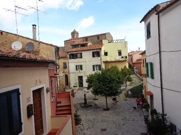 Vendita Appartamento Marciana Poggio #3764 n.8