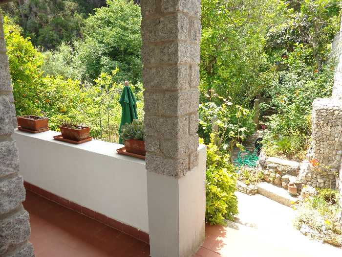 Vendita Casa bifamiliare Marciana S. Andrea/La Zanca #4213 n.6