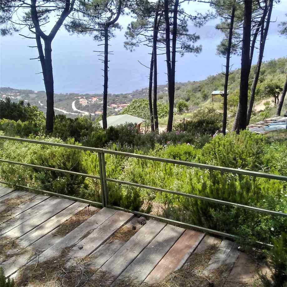 Venta Terreno Capoliveri #4637 n.7