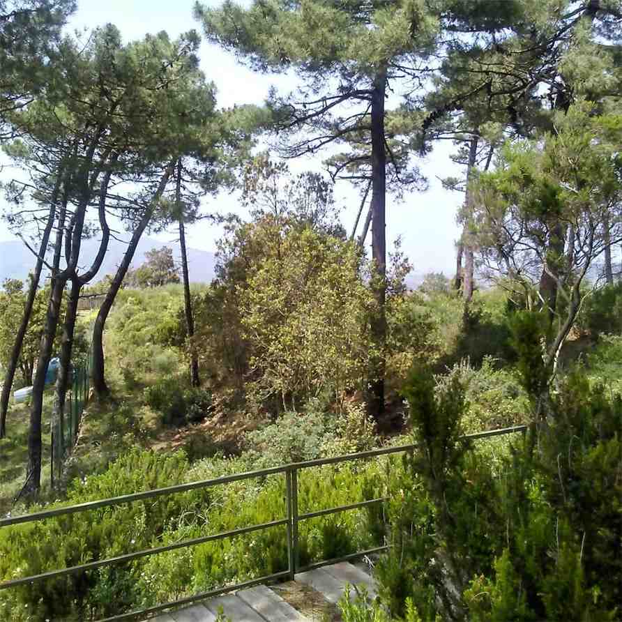 Vendita Terreno Capoliveri  #4637 n.8