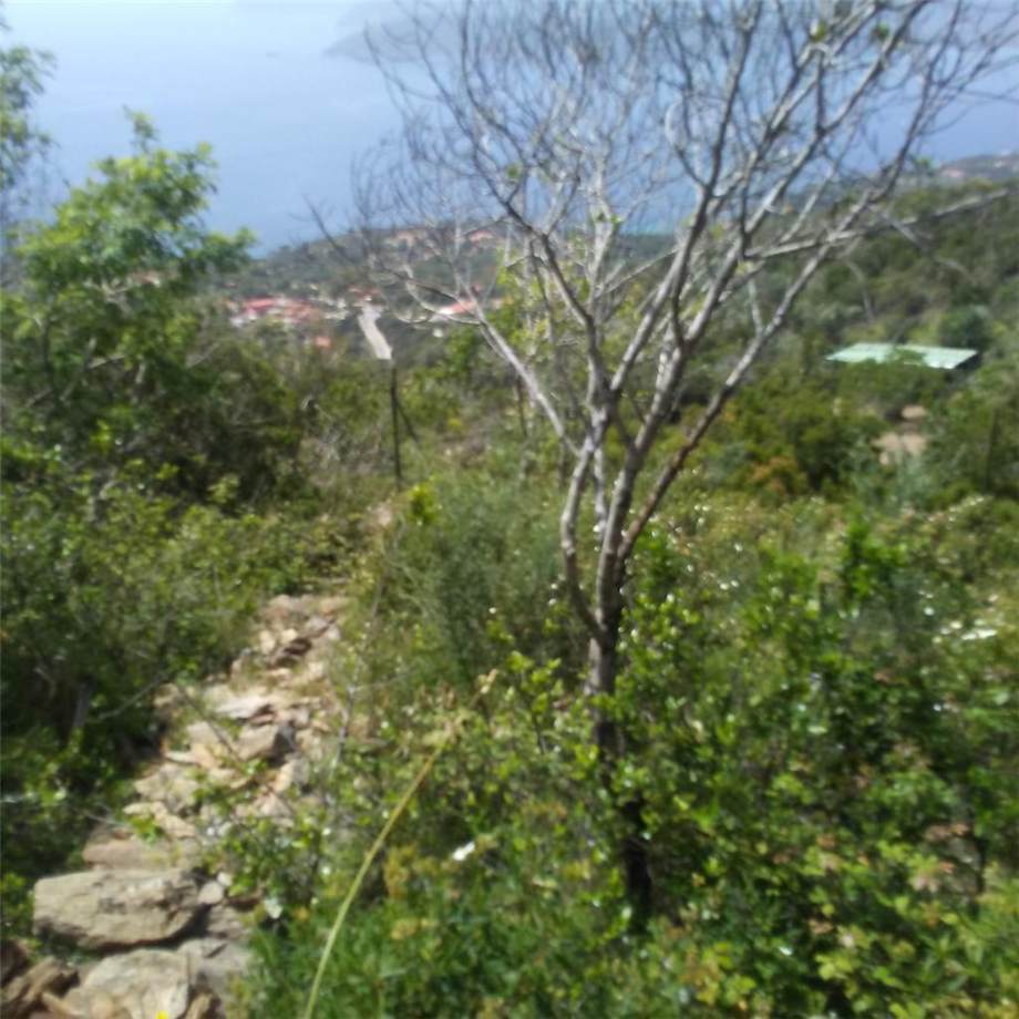 Venta Terreno Capoliveri #4637 n.9
