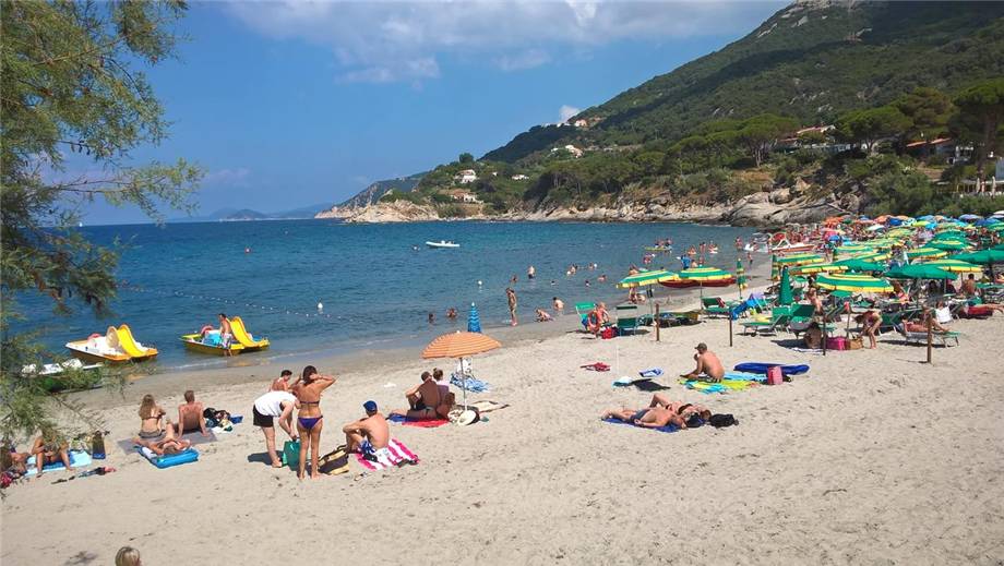 For sale Hotel/Apartment hotel Marciana S. Andrea/La Zanca #4745 n.17