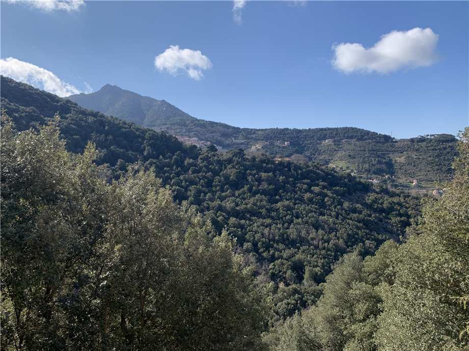 For sale Flat Marciana Poggio #4756 n.13