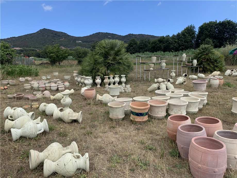 Vendita Altro Campo nell'Elba La Pila #4809 n.9