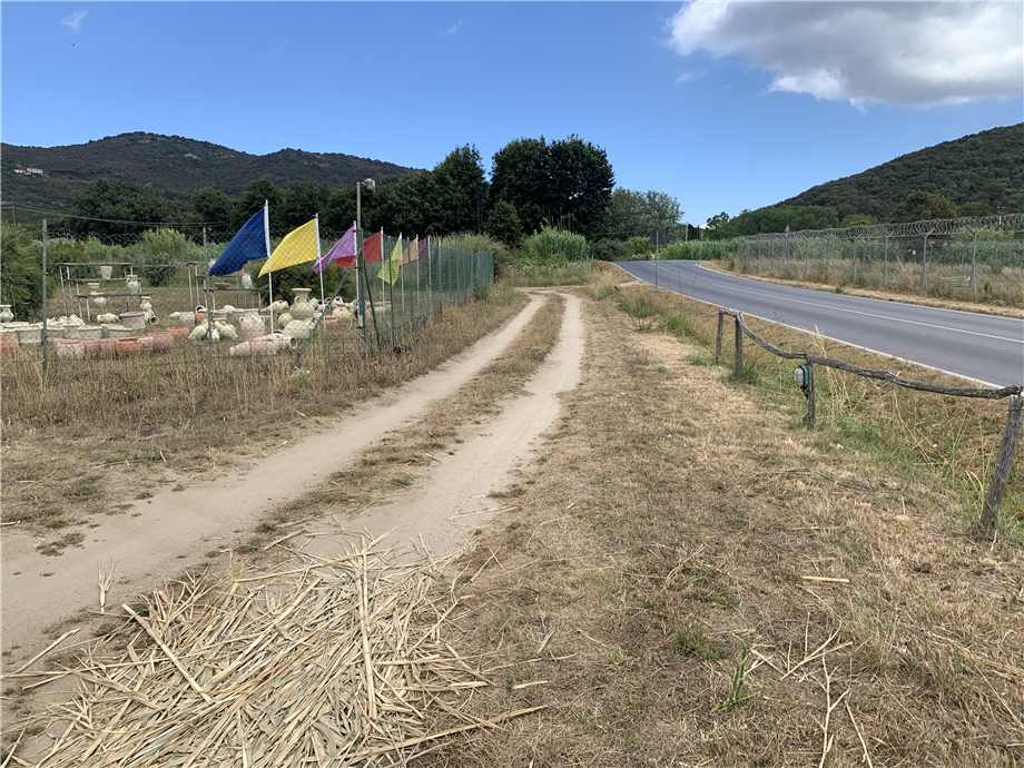 Vendita Altro Campo nell'Elba La Pila #4809 n.10
