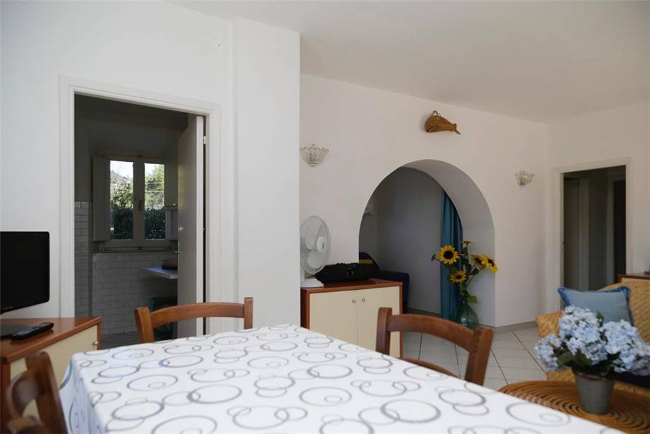 Venta Porción de casa bifamiliar Campo nell'Elba Campo Elba altre zone #4982 n.18