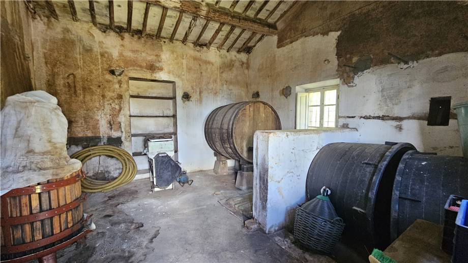 Vendita Rustico/Casa di campagna Marciana Marciana altre zone #5092 n.6