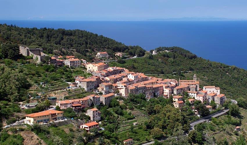 For sale Apartment Marciana  #5134 n.7
