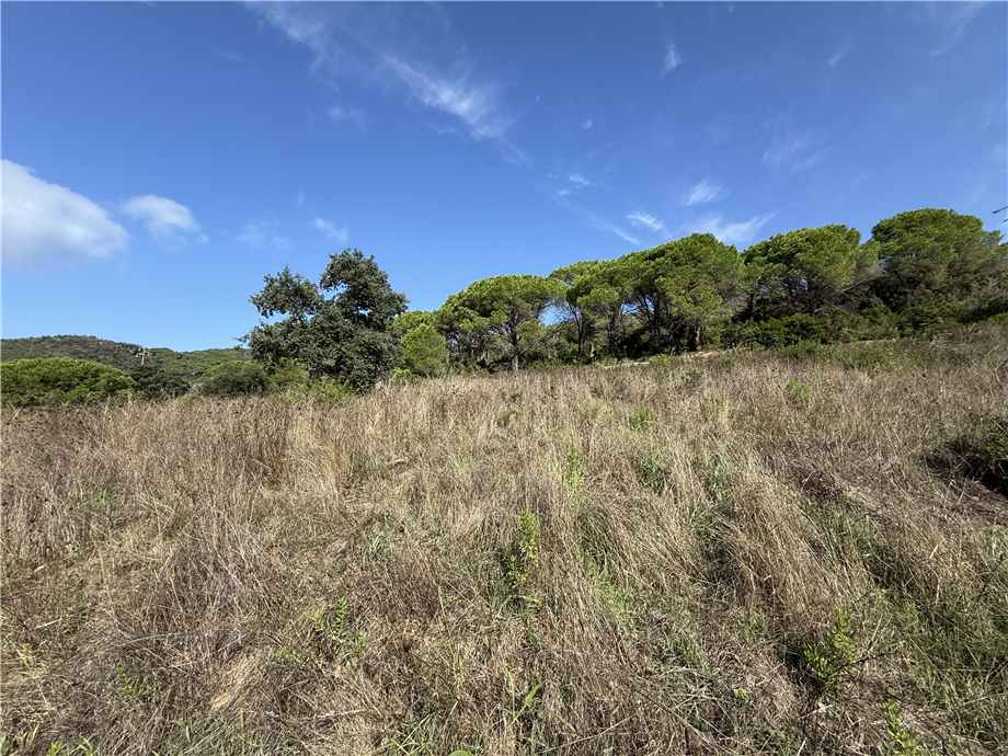 For sale Single-family Villa Portoferraio  #5151 n.6