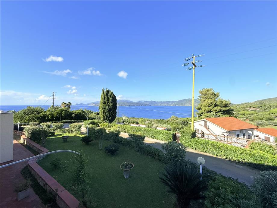 For sale Other Capoliveri  #5161 n.6