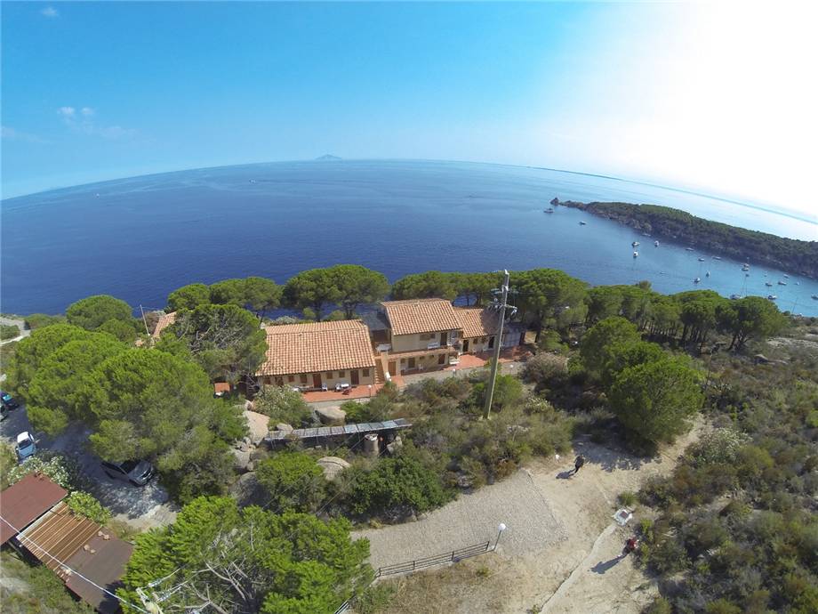 Venta Open space Campo nell'Elba  #5191 n.6