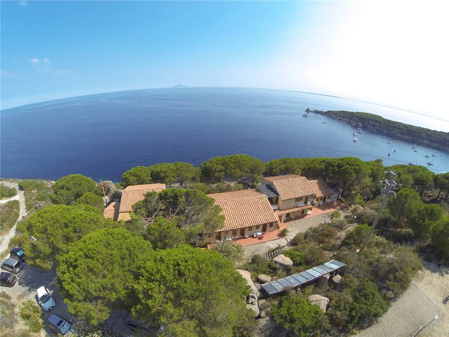 Venta Open space Campo nell'Elba  #5191 n.7