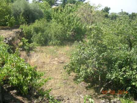 Venta Casa de campo Adrano  #1544 n.6