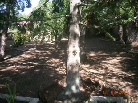 For sale Detached house Biancavilla  #1708 n.10
