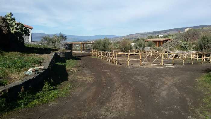 Vendita Azienda Agricola Adrano  #1826 n.6