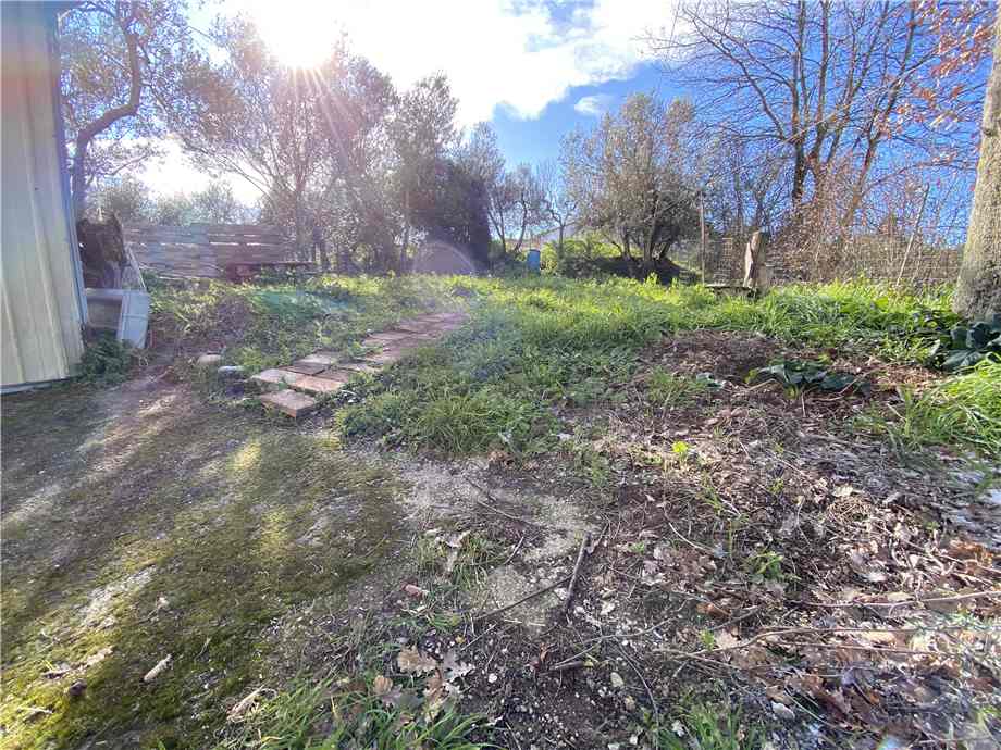 Alquiler Appartamento Montespertoli  #078AF n.8