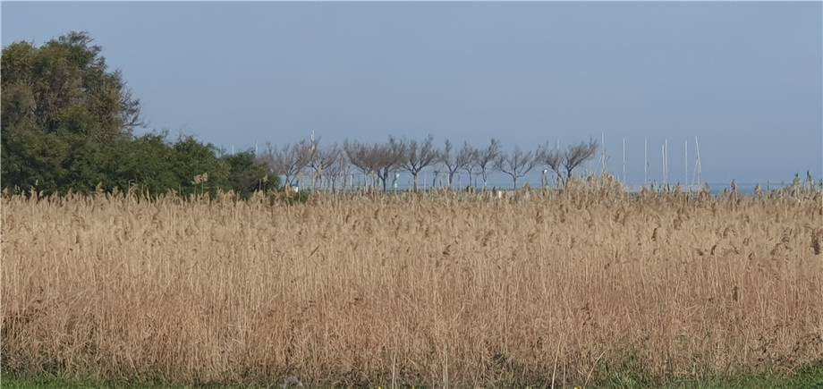 For sale Land Montenero di Bisaccia via Antonio Usodimare #16 n.6