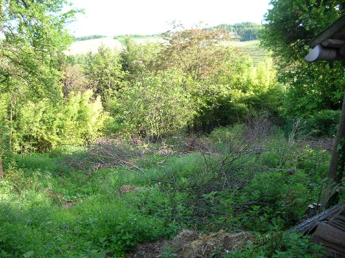 For sale Detached house Sala Monferrato  #CP-620 n.6