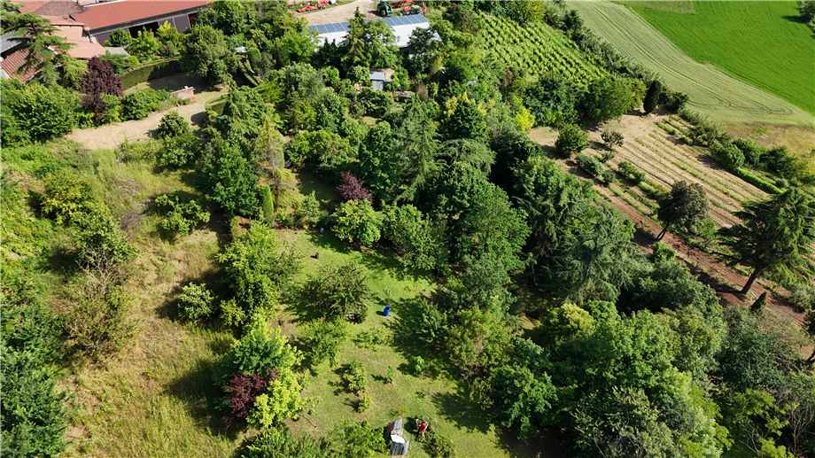 Venta Villa/Casa independiente Lu e Cuccaro Monferrato LU #CP-655 n.10