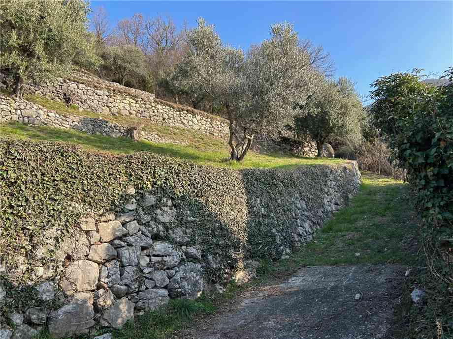 For sale Land Predore  #PRE23 n.16