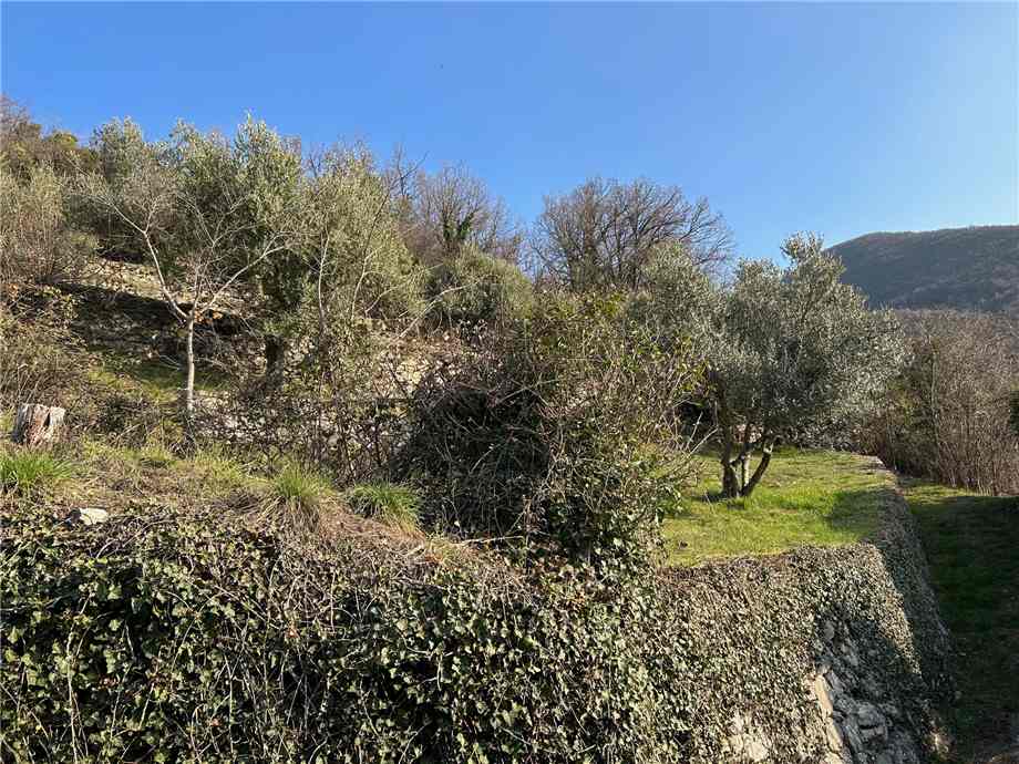 For sale Land Predore  #PRE23 n.17