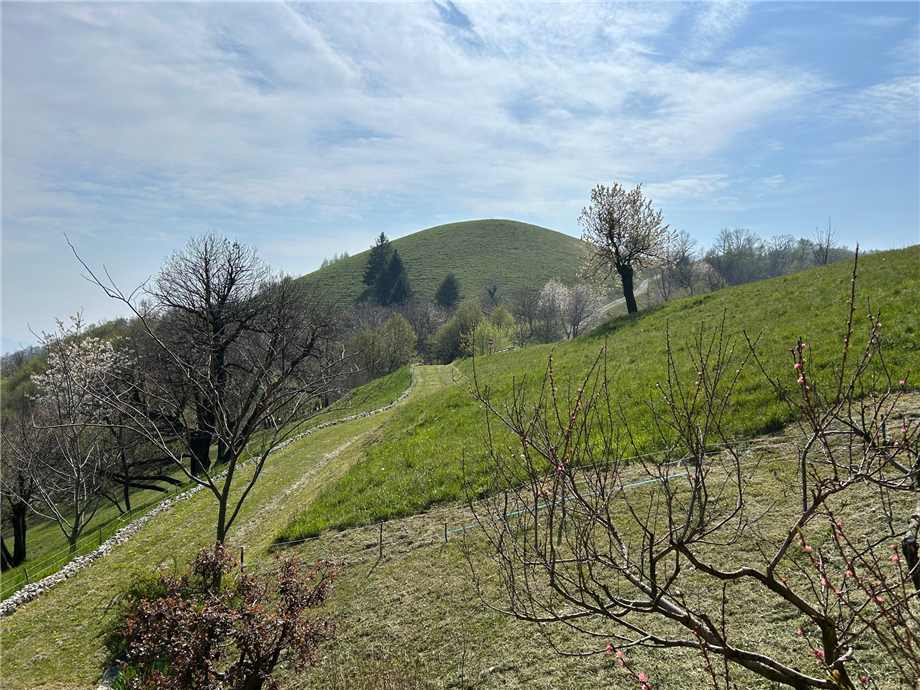 Vendita Rustico/Casale Adrara San Martino  #ASM33 n.19