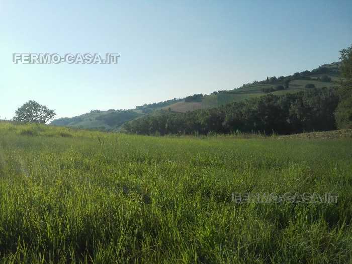 Vendita Rustico/Casale Fermo Ete Caldarette #Pnz005 n.7