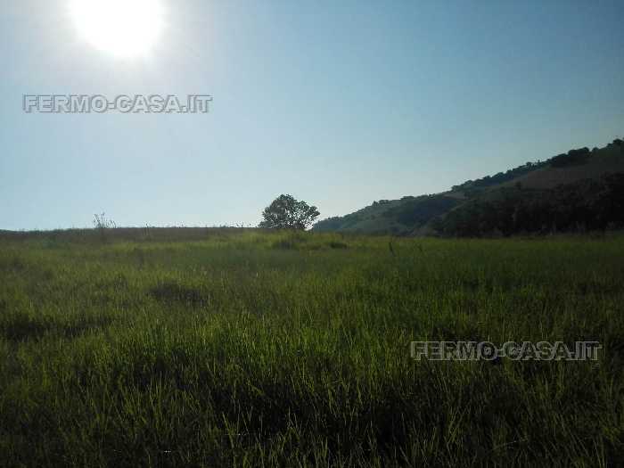 Vendita Rustico/Casale Fermo Ete Caldarette #Pnz005 n.8