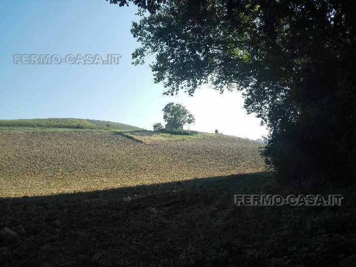 Vendita Rustico/Casale Fermo Ete Caldarette #Pnz005 n.10