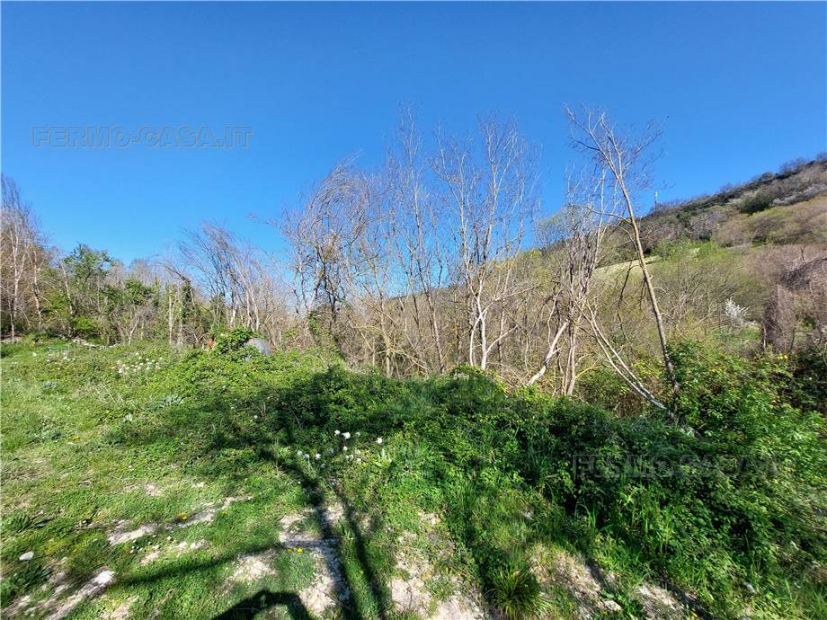 For sale Rural/farmhouse Lapedona  #Lap004 n.19