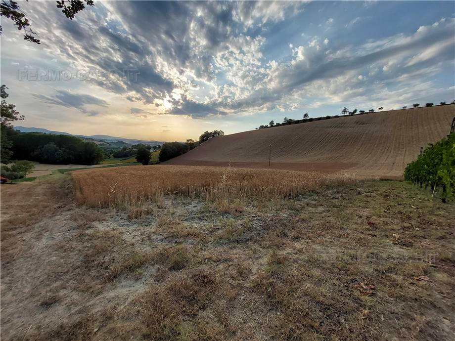 For sale Land Montottone  #Mtt002 n.16