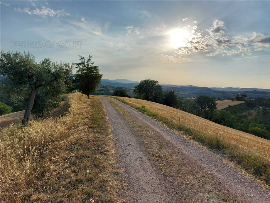 For sale Land Montottone  #Mtt002 n.20