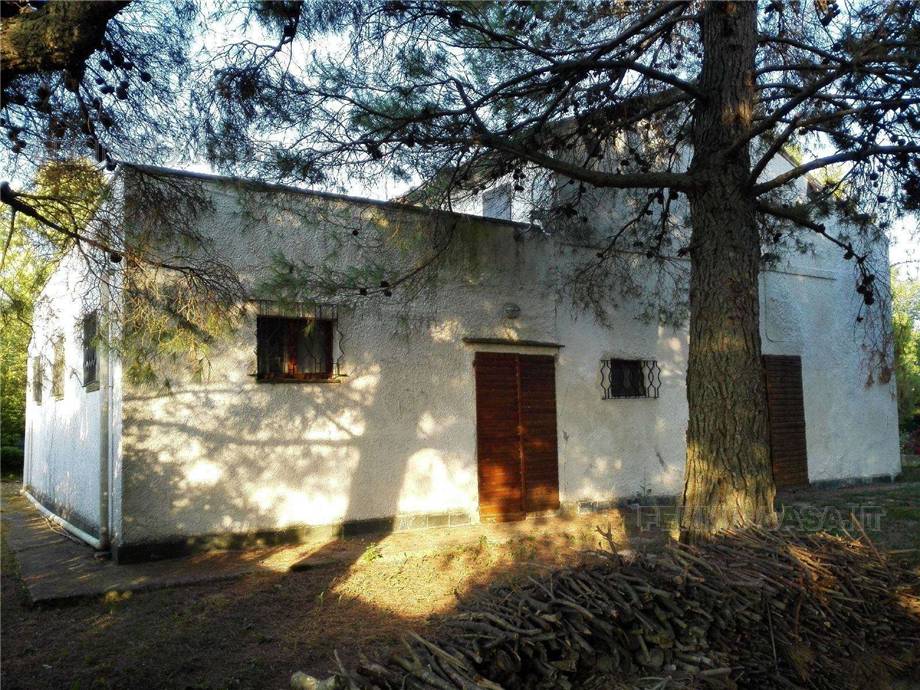 For sale Rural/farmhouse Monterubbiano  #Mrb001 n.34