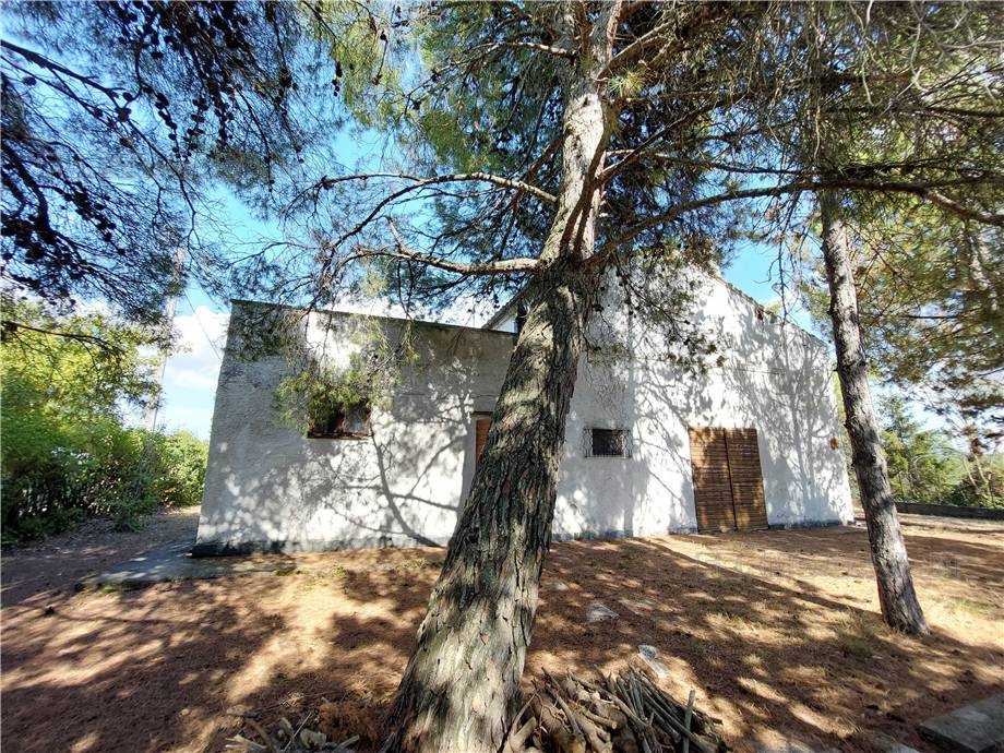 Venta Casa de campo Monterubbiano  #Mrb001 n.35