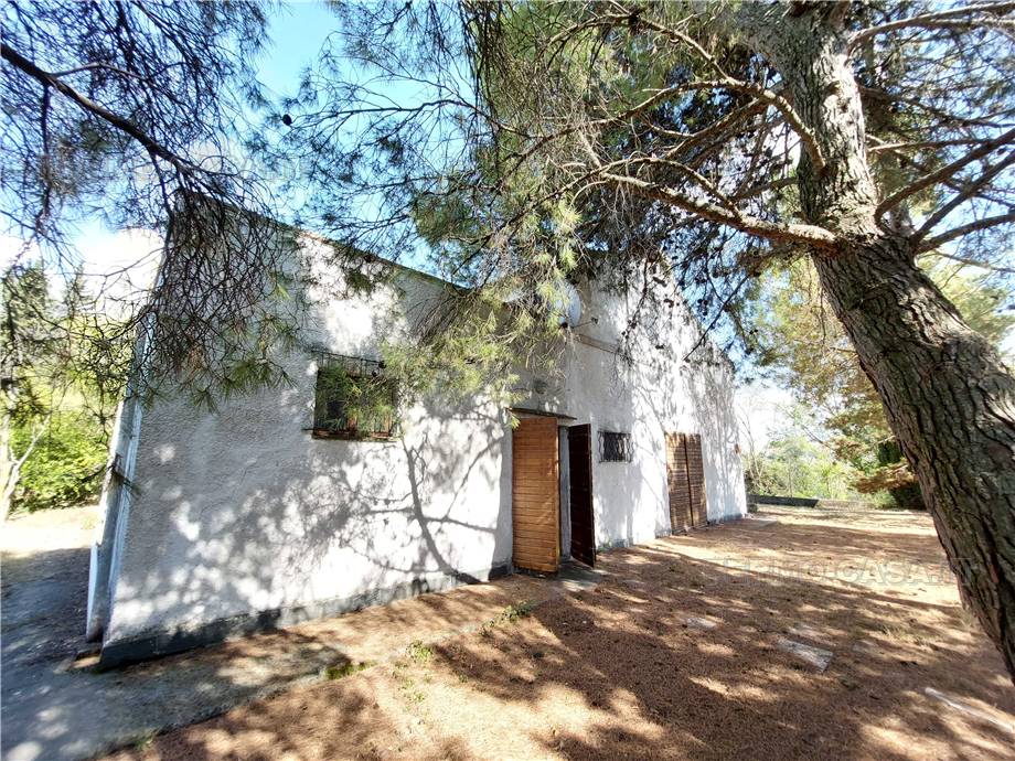 Venta Casa de campo Monterubbiano  #Mrb001 n.36