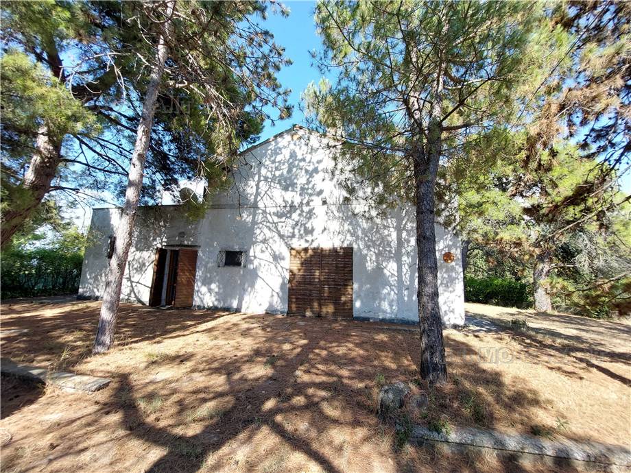 Venta Casa de campo Monterubbiano  #Mrb001 n.37